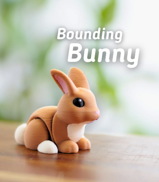 Bounding Bunny